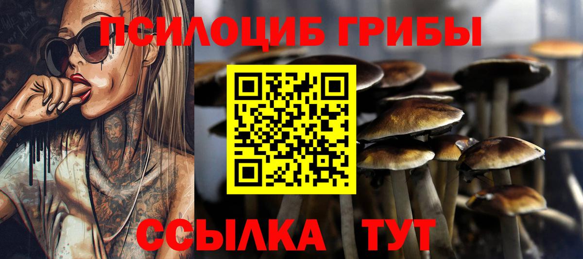 Галлюциногенные грибы мицелий  Вход с VPN  Ставрополь 